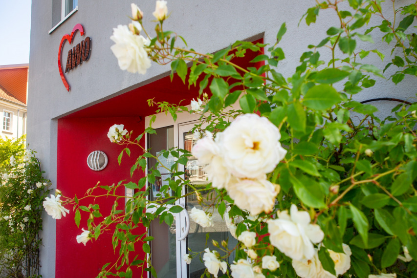 Eingang zum Betreuten Wohnen mit weißen Rosen vor dem Haus