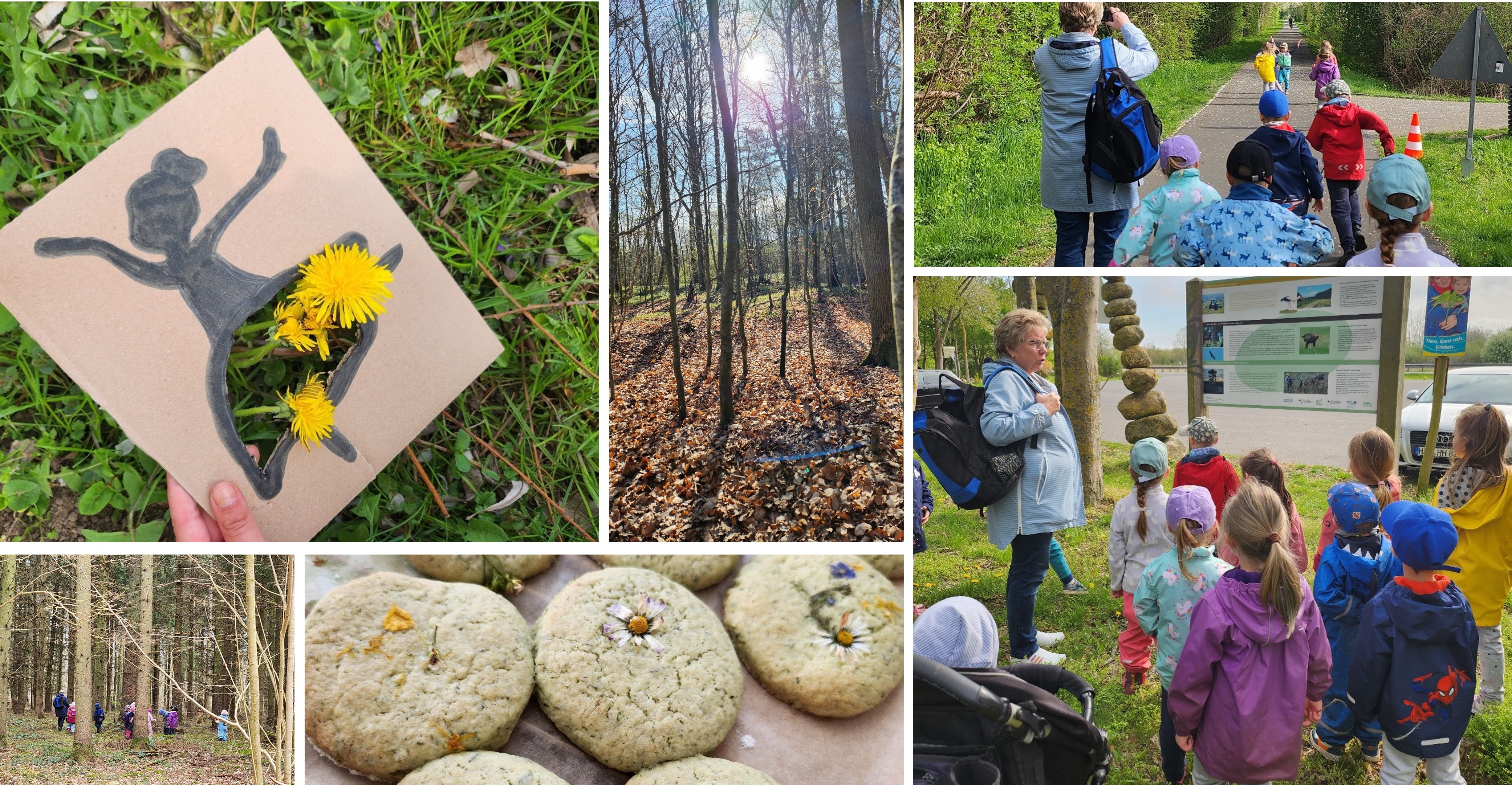 Collage zeigt Kinder im Wald, Wildkräuterkekse und einen Scherenschnitt mit Löwenzahn