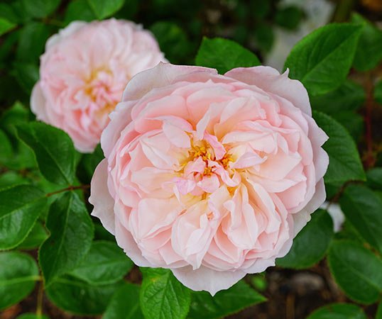 Kinder- und Jugendwohngruppe